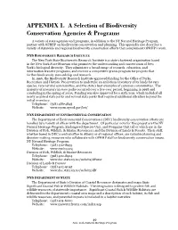 Appendices Section