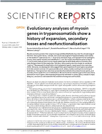 Evolutionary Analyses of Myosin Genes in Trypanosomatids Show A