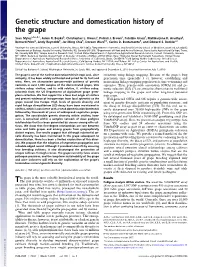 Genetic Structure and Domestication History of the Grape