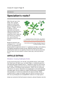 The Scientist : Speciation's Roots?