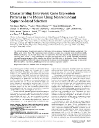 Characterizing Embryonic Gene Expression Patterns in the Mouse