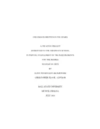 Freedom Is Written in the Stars a Creative Project