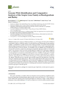Genome Wide Identification and Comparative Analysis of the Serpin