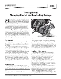 Tree Squirrels: Managing Habitat and Controlling Damage