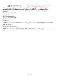 Vamp3-Dependent Secretion of Endocytic BDNF from Astrocytes
