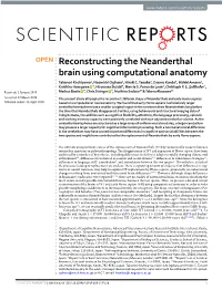 Reconstructing the Neanderthal Brain Using Computational Anatomy Takanori Kochiyama1, Naomichi Ogihara2, Hiroki C