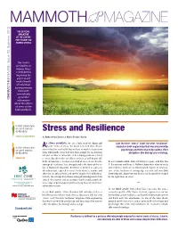 Stress and Resilience Cept to Explain Why Some Types of Wood Could Re- When Facing Adversity, Being Able to Sist Tons of Weight Without Cracking