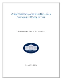 Commitments to Action on Building a Sustainable Water Future