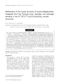 Hidalgoite from the Tsumeb Mine, Namibia, and Hydrogen 2+ 3+ 5+ Bonding in the D G3 (T O4)(TO3OH)(OH)6 Alunite Structures