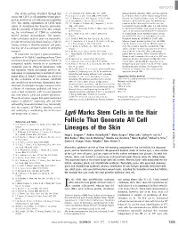 Lgr6 Marks Stem Cells in the Hair Follicle That Generate All Cell Lineages of the Skin Hugo J
