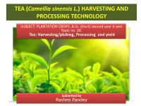 TEA (Camellia Sinensis L.) HARVESTING and PROCESSING TECHNOLOGY