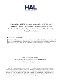 Control of AMPK-Related Kinases by USP9X and Atypical Lys29/Lys33