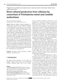 Direct Ethanol Production from Cellulose by Consortium Of