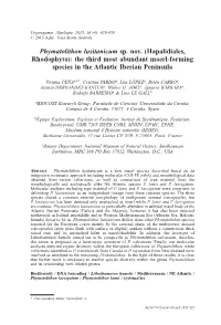 Download Full Article in PDF Format