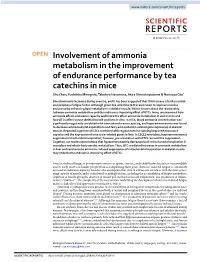 Involvement of Ammonia Metabolism in the Improvement of Endurance