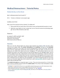 01 06 Medial Surface of the Brain-NOTES.Pdf