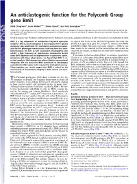 An Anticlastogenic Function for the Polycomb Group Gene Bmi1