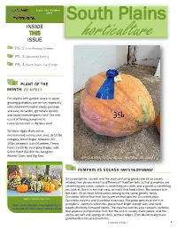Issue 10 Oct 2019