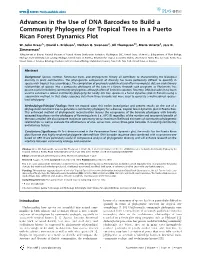 Advances in the Use of DNA Barcodes to Build a Community Phylogeny for Tropical Trees in a Puerto Rican Forest Dynamics Plot