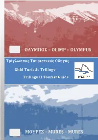 Olimp – Olympus