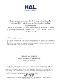 Reprogramming Capacity of Nanog Is Functionally Conserved in Vertebrates and Resides in a Unique Homeodomain Thorold W