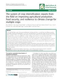 The System of Crop Intensification: Reports from the Field on Improving