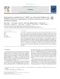 Duck Interferon Regulatory Factor 7 (IRF7) Can Control Duck Tembusu