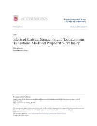 Effects of Electrical Stimulation and Testosterone in Translational Models of Peripheral Nerve Injury Gina Monaco Loyola University Chicago