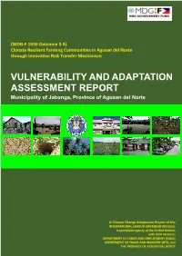 VULNERABILITY and ADAPTATION ASSESSMENT REPORT Municipality of Jabonga, Province of Agusan Del Norte