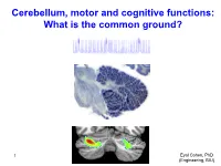 Cerebellum, Motor and Cognitive Functions: What Is the Common Ground?