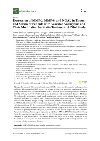 Expression of MMP-2, MMP-9, and NGAL in Tissue and Serum of Patients with Vascular Aneurysms and Their Modulation by Statin Treatment: a Pilot Study
