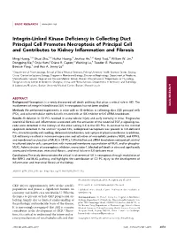 Integrin-Linked Kinase Deficiency in Collecting Duct Principal Cell