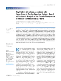 Key Protein Alterations Associated with Hyperdynamic Cardiac Function