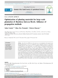 Optimization of Planting Materials for Large Scale Plantation of Bambusa Balcooa Roxb.: Inﬂuence of Propagation Methods