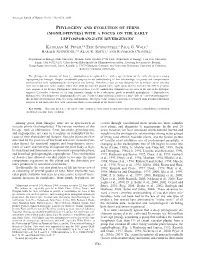 Phylogeny and Evolution of Ferns (Monilophytes) with a Focus on the Early Leptosporangiate Divergences1