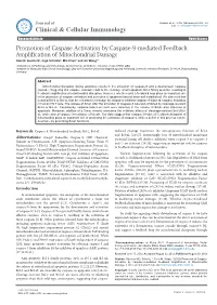 Promotion of Caspase Activation by Caspase-9-Mediated Feedback Amplification of Mitochondrial Damage Alan D
