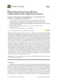 Wetland Monitoring Using SAR Data: a Meta-Analysis and Comprehensive Review