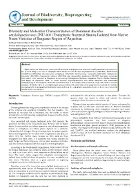Diversity and Molecular Characterization of Dominant