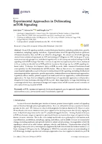 Experimental Approaches in Delineating Mtor Signaling
