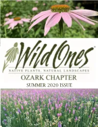 Summer 2020 Issue