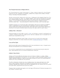 The Tempest Summary: a Magical Storm