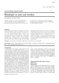 Blindsight in Man and Monkey