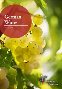 German Wines at a Glance 2 the Best of the Modern and Traditional