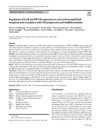 Regulation of Lcor and RIP140 Expression in Cervical Intraepithelial Neoplasia and Correlation with CIN Progression and Dediffer