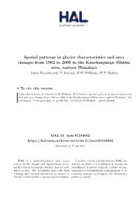 Spatial Patterns in Glacier Characteristics and Area Changes