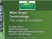 Wine Grape Terminology- the Lingo of Viticulture