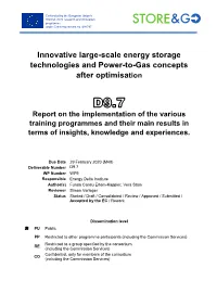 Innovative Large-Scale Energy Storage Technologies and Power-To-Gas Concepts After Optimisation