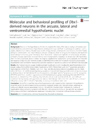 Molecular and Behavioral Profiling of Dbx1-Derived Neurons in The
