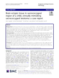 View Showed Solid Tissue Fragments Composed of Mature Neural Tissue Comprising Glial Cells and Astrocytes with No Other Germ Cell Layer Component
