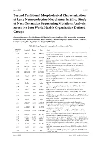 Beyond Traditional Morphological Characterization of Lung